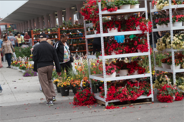 Flower Racks of Eastern Market Detroit 1